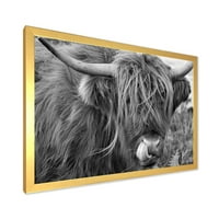 Designart 'Close up of Scottish Cow On Moorland II' Farmhouse Framed Art Print