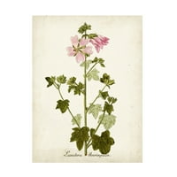 Nepoznata Umjetnost Platna 'Antique Herb Botanical V'