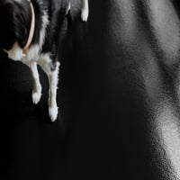 - Sprat 10 ' 24 ' Keramička Tekstura Vinil Pet Mat & Carpet Protector, Ponoćna Crna