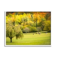 Stupell Industries seoske krave Pasu livadski pašnjak jesenja poljoprivredna stabla, 16, Dizajn Ramona