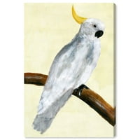 Wynwood Studio Životinje Zidno umjetnosti Platno Ispisuje ptice Elegantne koktone - bijela, žuta
