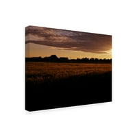 Clive Branson' Sunset Over Wheat Field Agican ' Canvas Art
