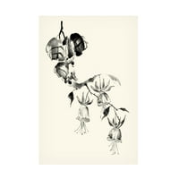 Nan Rae' Ink Wash Floral VIII Fuchsia ' platno Art