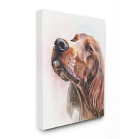Stupell Industries Irski setter pas kućni ljubimac Vodeni bojler slikanje platno Zidna umjetnost Georgea