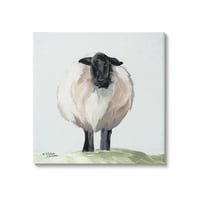 Fupell Farmhouse nejasne ovce portret Životinje i insekti Palika Galerija zamotana platna Print Wall Art