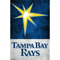 Tampa Bay Rays Burst 22 34 Players Poster